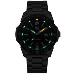 Мужские часы Luminox Pacific Diver XS.3123 цена и информация | Мужские часы | kaup24.ee