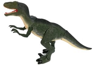 Velociraptor dinosaurus – liigub, möirgab hind ja info | Poiste mänguasjad | kaup24.ee