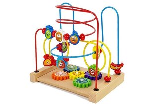 Puidust labürint puuviljakujukestega hind ja info | Imikute mänguasjad | kaup24.ee