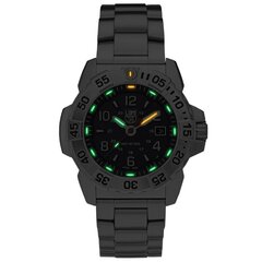 Мужские часы Luminox Navy SEAL Steel Military Dive XS.3254  цена и информация | Мужские часы | kaup24.ee