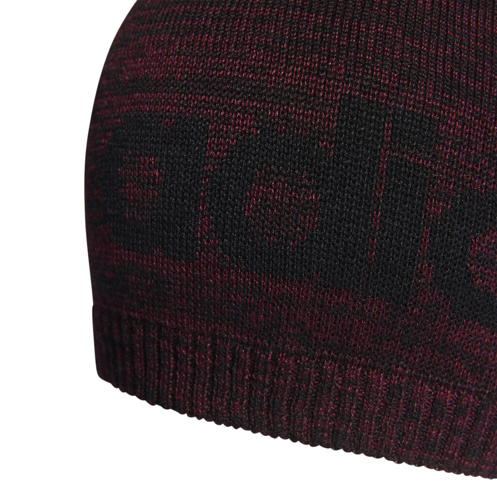 Adidas Mütsid Daily Beanie Lt Bordeaux H35690/OSFM hind ja info | Meeste sallid, mütsid ja kindad | kaup24.ee