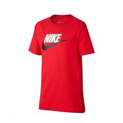 Спортивная футболка для мальчиков Nike Nsw Futura Icon Jr AR5252-660, 66453 цена и информация | Рубашки для мальчиков | kaup24.ee