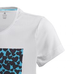 Poiste spordisärk Adidas Gfx Tee, valge GE0500 цена и информация | Рубашки для мальчиков | kaup24.ee