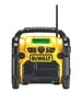 Dewalt DCR019-QW hind ja info | Raadiod ja äratuskellad | kaup24.ee