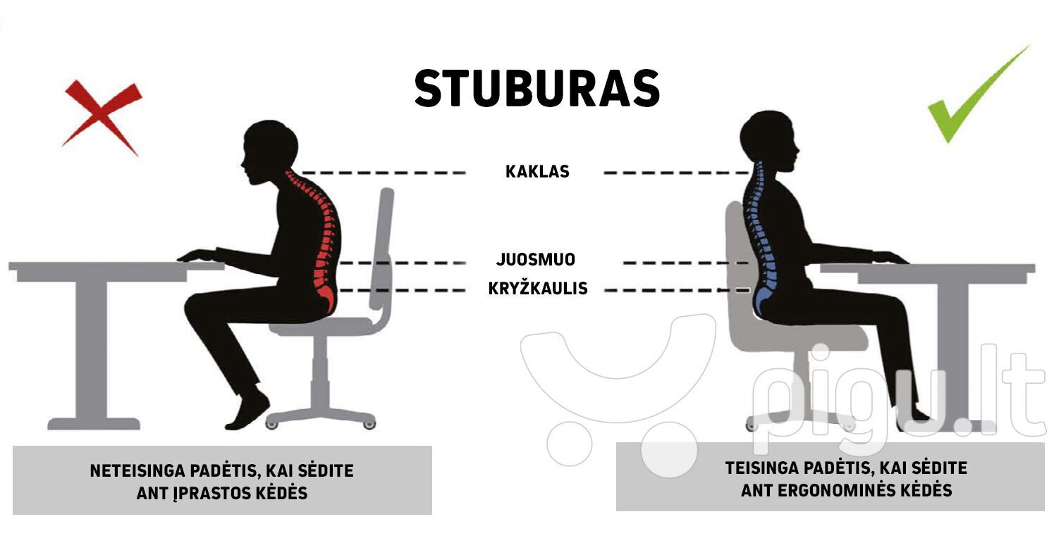 Ergonoomiline lastetool Entelo Good Chair Petit VS06 4, valge/sinine hind ja info | Kontoritoolid | kaup24.ee