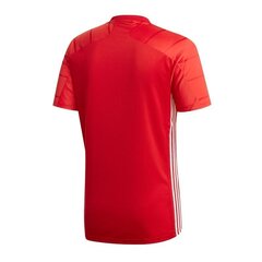 Meeste spordisärk Adidas Campeon 21 M FT6763 цена и информация | Мужская спортивная одежда | kaup24.ee