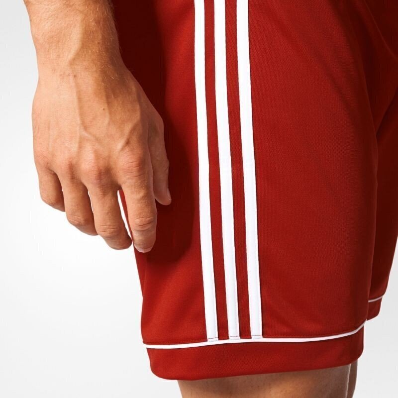 Meeste lühikesed püksid Adidas Squadra 17, punane цена и информация | Meeste spordiriided | kaup24.ee
