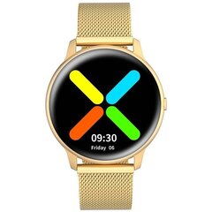 Умные часы GINO ROSSI SMARTWATCH SW015-5 цена и информация | Женские часы | kaup24.ee