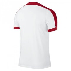 Мужская спортивная футболка Nike striker IV M 725892101, белая цена и информация | Мужская спортивная одежда | kaup24.ee