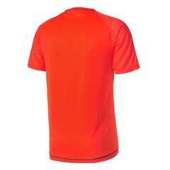 Спортивная футболка мужская Adidas tiro 17 M BQ2809, оранжевая цена и информация | Мужская спортивная одежда | kaup24.ee