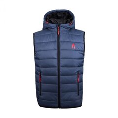 Жилет для мужчин Alpinus Athos Body Warmer M BR43356 76555 цена и информация | Мужские жилетки | kaup24.ee