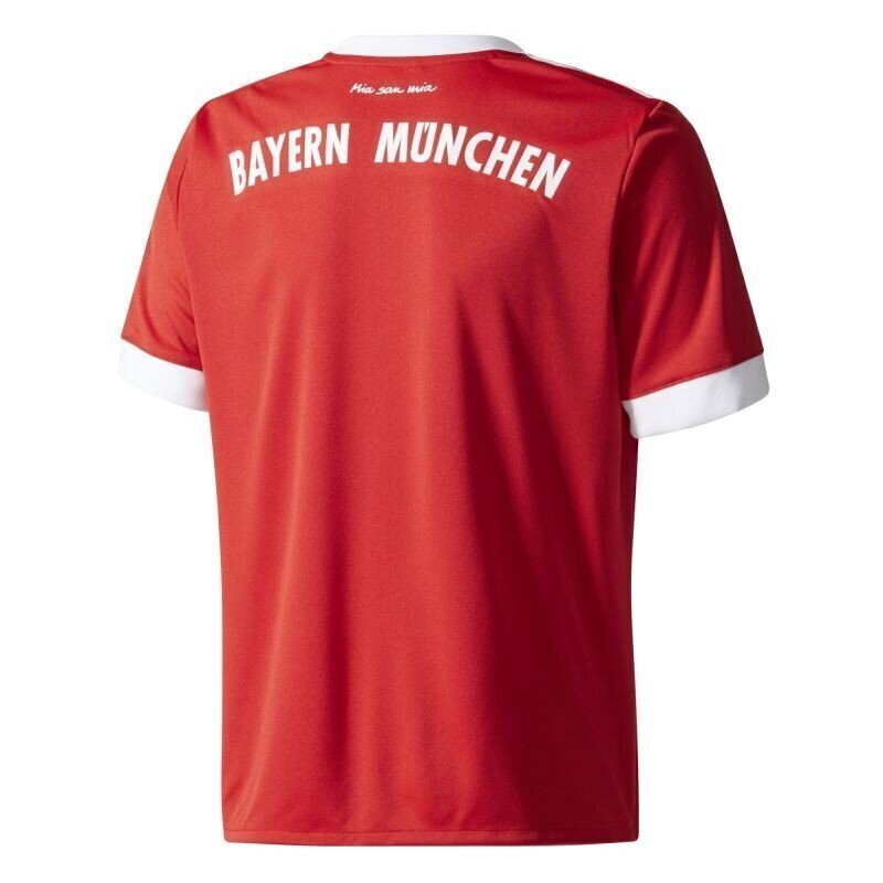 Poiste spordisärk Adidas FC Bayern Munchen Junior AZ7954, punane hind ja info | Poiste särgid | kaup24.ee