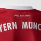 Poiste spordisärk Adidas FC Bayern Munchen Junior AZ7954, punane hind ja info | Poiste särgid | kaup24.ee