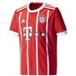 Poiste spordisärk Adidas FC Bayern Munchen Junior AZ7954, punane hind ja info | Poiste särgid | kaup24.ee