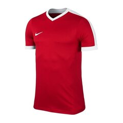 Спортивная футболка для мальчиков Nike striker IV Jr 725974657, красная цена и информация | Рубашки для мальчиков | kaup24.ee