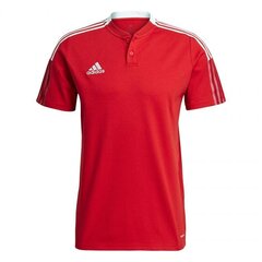 Мужская футболка Adidas Tiro 21 Polo M GM7365, красная цена и информация | Мужская спортивная одежда | kaup24.ee