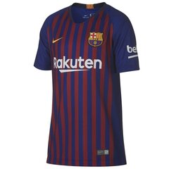 Спортивная футболка для мальчиков Nike FCB NK BRT stad JSY SS HM junior 89458 456, синяя цена и информация | Рубашки для мальчиков | kaup24.ee