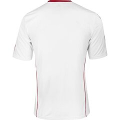 Спортивная футболка для мальчиков Adidas squadra 13 junior Z20625, белая цена и информация | Рубашки для мальчиков | kaup24.ee