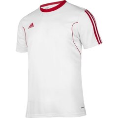 Спортивная футболка для мальчиков Adidas squadra 13 junior Z20625, белая цена и информация | Рубашки для мальчиков | kaup24.ee