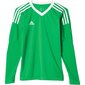 Poiste spordisärk Adidas revigo 17 junior AZ5389, roheline hind ja info | Poiste särgid | kaup24.ee