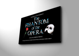 Репродукция The Phantom of the Opera цена и информация | Картины, живопись | kaup24.ee