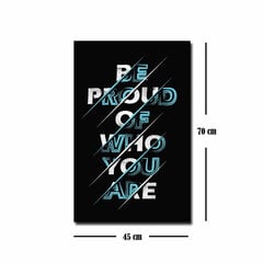 Reproduktsioon Be proud of who you are hind ja info | Seinapildid | kaup24.ee