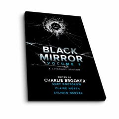 Reproduktsioon Black Mirror hind ja info | Seinapildid | kaup24.ee