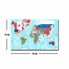 Reproduktsioon Maailmakaart hind ja info | Seinapildid | kaup24.ee