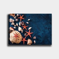 Репродукция Морские раковины цена и информация | Картины, живопись | kaup24.ee