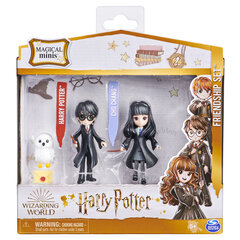 Harry & Cho Mini sõpruskomplekt Harry Potter ja Cho Chang Harry Potter цена и информация | Игрушки для мальчиков | kaup24.ee