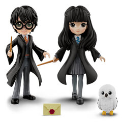 Harry & Cho Mini sõpruskomplekt Harry Potter ja Cho Chang Harry Potter hind ja info | Poiste mänguasjad | kaup24.ee