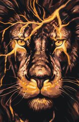 Maalid numbrite järgi " The lion's gaze" 40x60 G hind ja info | Maalid numbri järgi | kaup24.ee