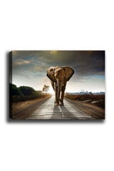Репродукция Слон цена и информация | Репродукции, картины | kaup24.ee