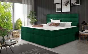 Кровать NORE Softy 140x200, темно-зеленая цена и информация | Кровати | kaup24.ee