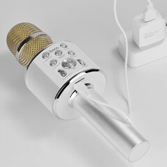 Микрофон Беспроводной караоке-микрофон BK3 Cool sound цена и информация | Микрофоны | kaup24.ee