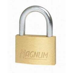 Замок навесной Magnum Masterlock CAD30 + цена и информация | Замки | kaup24.ee