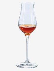 Spiegelau klaasidekomplekt, 4-osaline hind ja info | Klaasid, tassid ja kannud | kaup24.ee