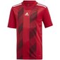 Poiste spordisärk Adidas Striped 19 JSY Jr 84222 DU4395, punane hind ja info | Poiste särgid | kaup24.ee