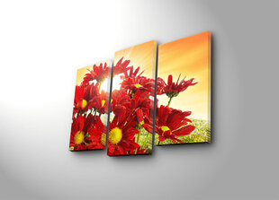 Kolmeosaline reproduktsioon Punased lilled hind ja info | Seinapildid | kaup24.ee