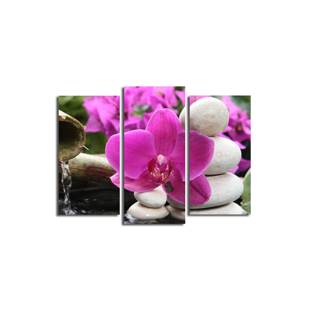 Kolmeosaline reproduktsioon Orhidee hind ja info | Seinapildid | kaup24.ee