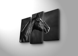 Kolmeosaline reproduktsioon Must hobune hind ja info | Seinapildid | kaup24.ee