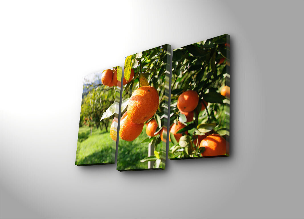 Kolmeosaline reproduktsioon Apelsinid hind ja info | Seinapildid | kaup24.ee
