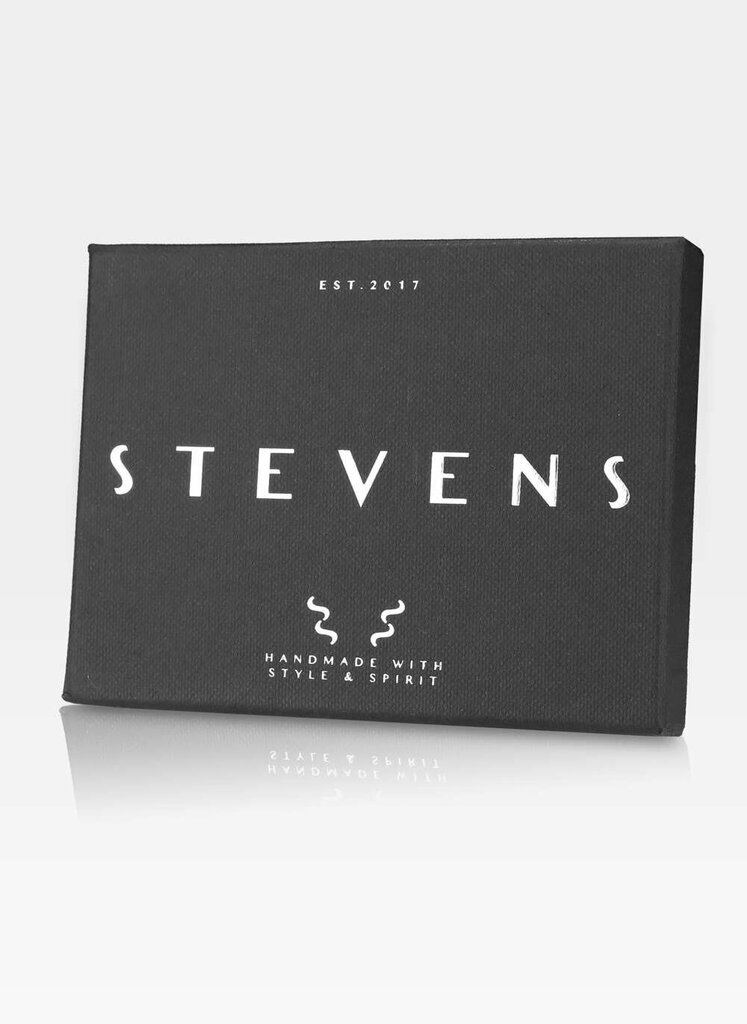 Meeste rahakott Slim õhuke, kaardikohver Rfid-ga Z02 Stevens hind ja info | Meeste rahakotid | kaup24.ee