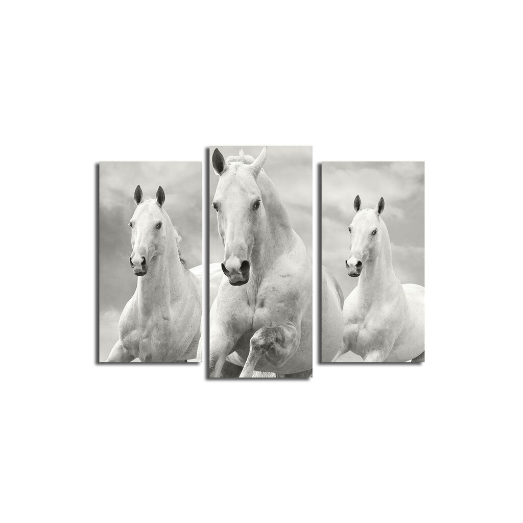 Kolmeosaline reproduktsioon Kolm valget hobust hind ja info | Seinapildid | kaup24.ee