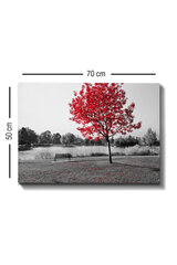Reproduktsioon Punaste lehtedega puu hind ja info | Seinapildid | kaup24.ee
