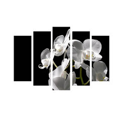 Viieosaline reproduktsioon Orhidee hind ja info | Seinapildid | kaup24.ee