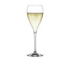 Spiegelau šampanja klaaside komplekt Party, 6 tk цена и информация | Стаканы, фужеры, кувшины | kaup24.ee
