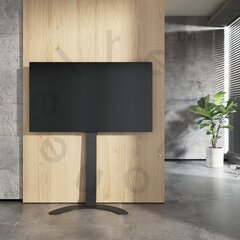 Alterzone Arc 37 "-70" hind ja info | Monitori hoidjad | kaup24.ee