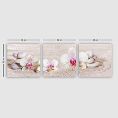 Репродукция из трех частей Орхидеи на песке цена и информация | Картины, живопись | kaup24.ee