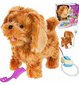 Interaktiivne koer jalutusrihmaga, 3+ a hind ja info | Tüdrukute mänguasjad | kaup24.ee